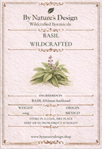 Wildcrafted Basil